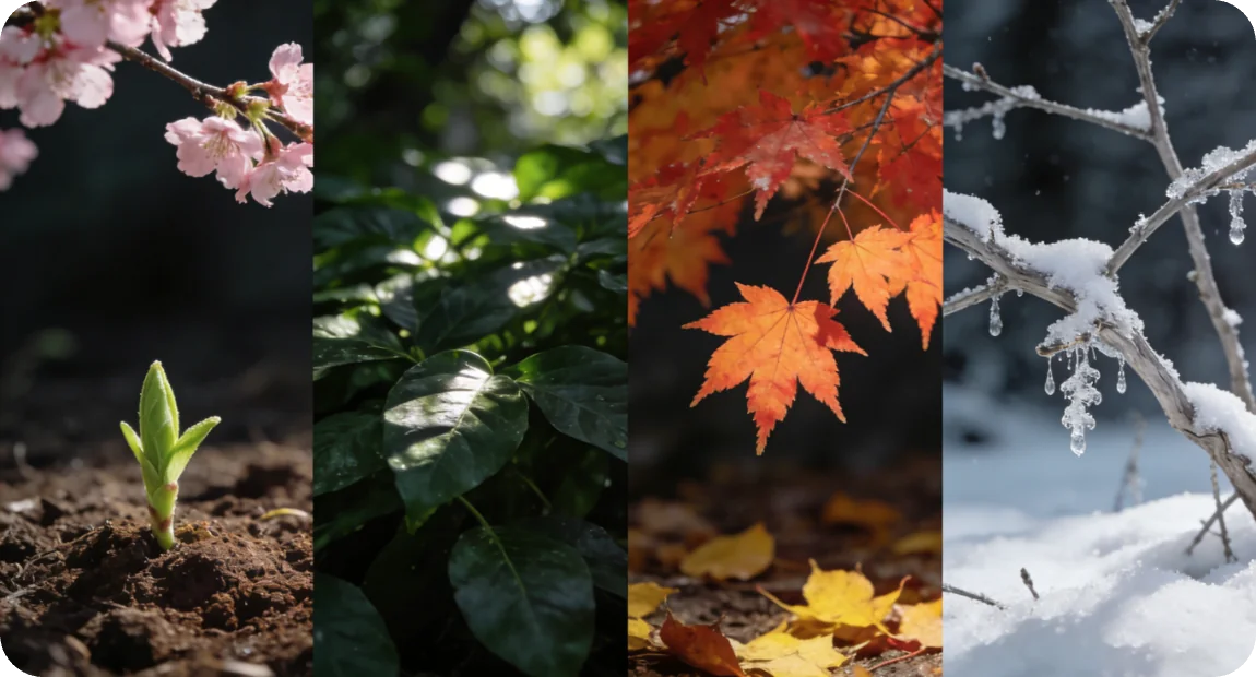 跨越时空 打卡全世界